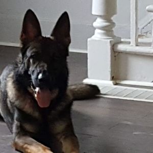 Meet your Posher, Bill